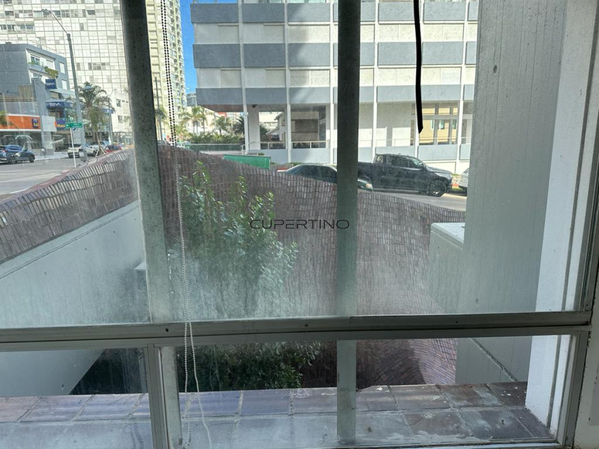 Peninsula sobre Gorlero exclente ubicacion a metros del puerto — foto 9