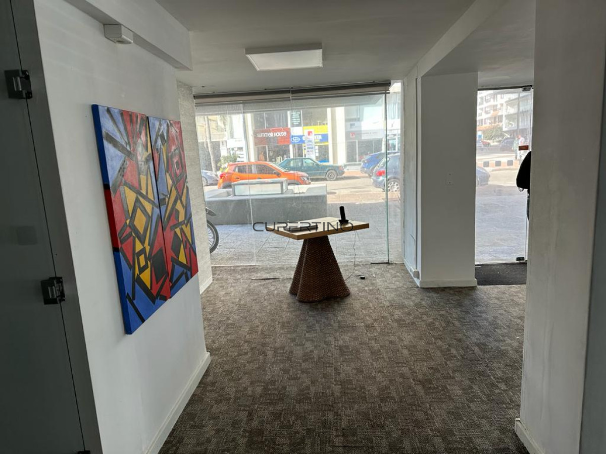 Peninsula sobre Gorlero exclente ubicacion a metros del puerto — foto 10