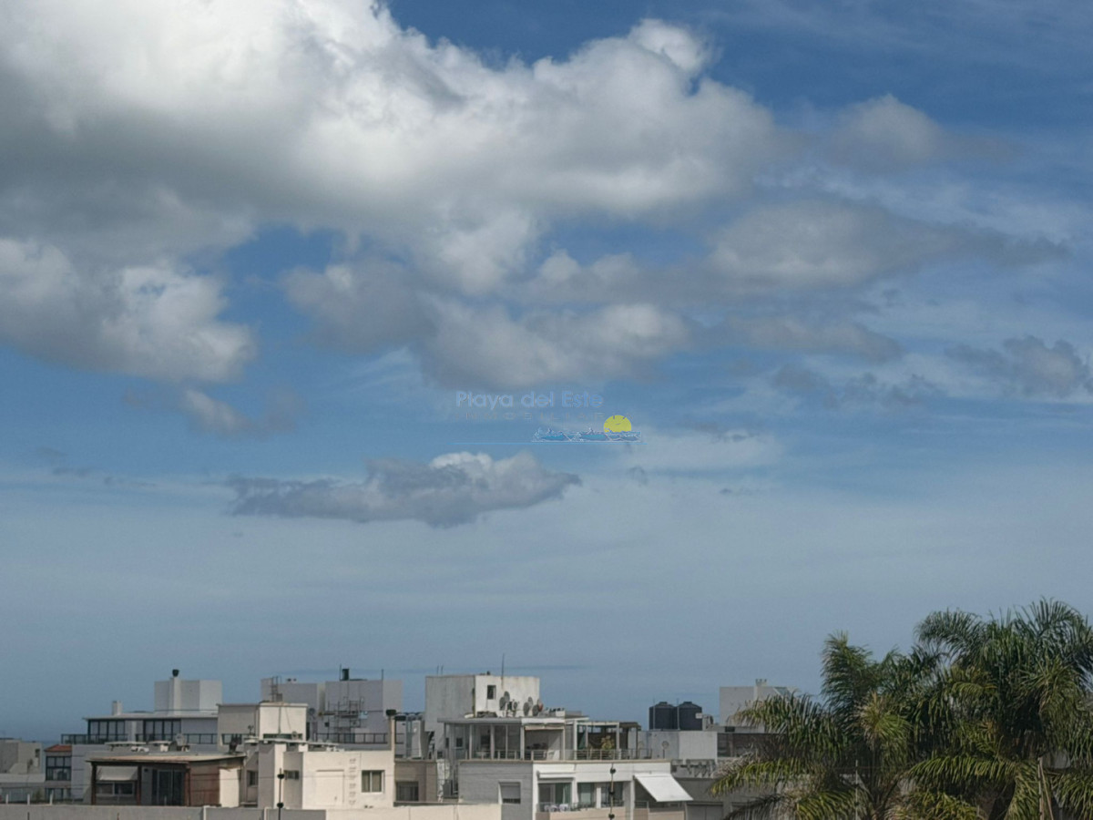 Apartamento de 1 dormitorio en Venta en Edificio apolo , Punta del este - PLA15440A