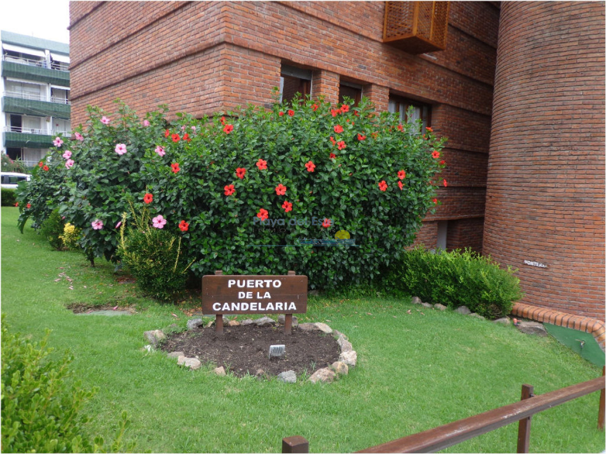 Apartamento de 1 dormitorio en alquiler temporal en Punta del este  - PLA8928A