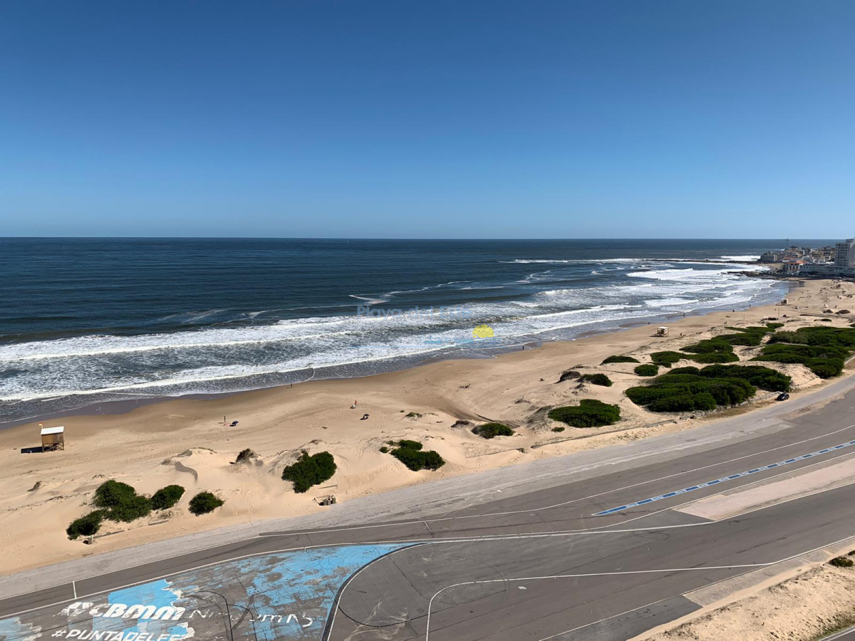 Brava - GoPunta - Portal Inmobiliario de Punta del Este - Maldonado