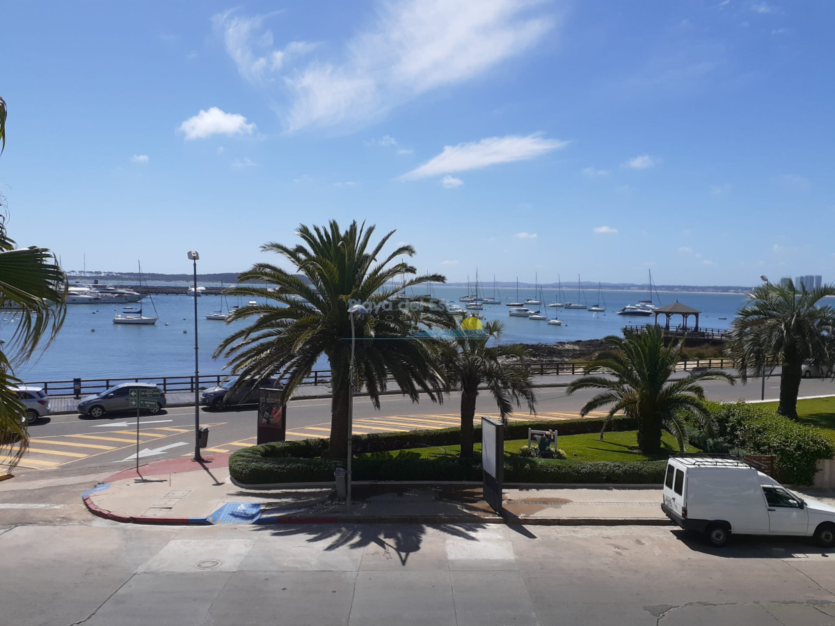 Península, puerto - Inmobiliaria Playa del Este