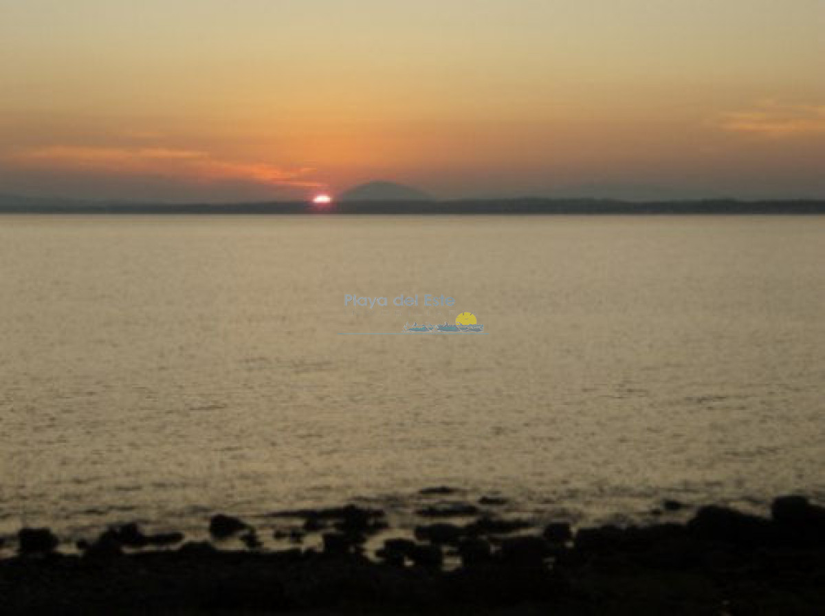 Punta Ballena - GoPunta - Portal Inmobiliario de Punta del Este - Maldonado