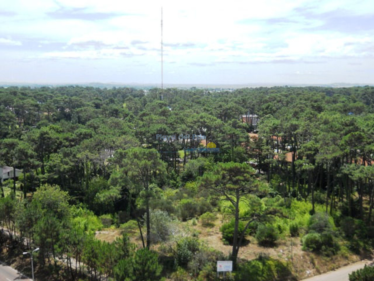 Roosevelt - GoPunta - Portal Inmobiliario de Punta del Este - Maldonado