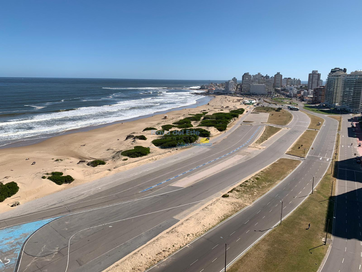Brava - GoPunta - Portal Inmobiliario de Punta del Este - Maldonado