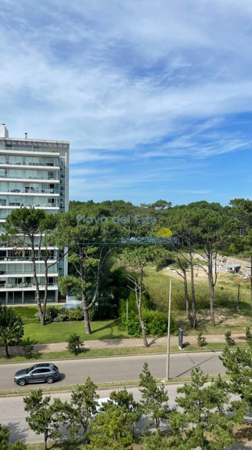 Roosevelt - GoPunta - Portal Inmobiliario de Punta del Este - Maldonado