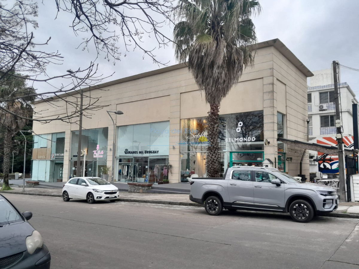 Punta del Este - GoPunta - Portal Inmobiliario de Punta del Este - Maldonado