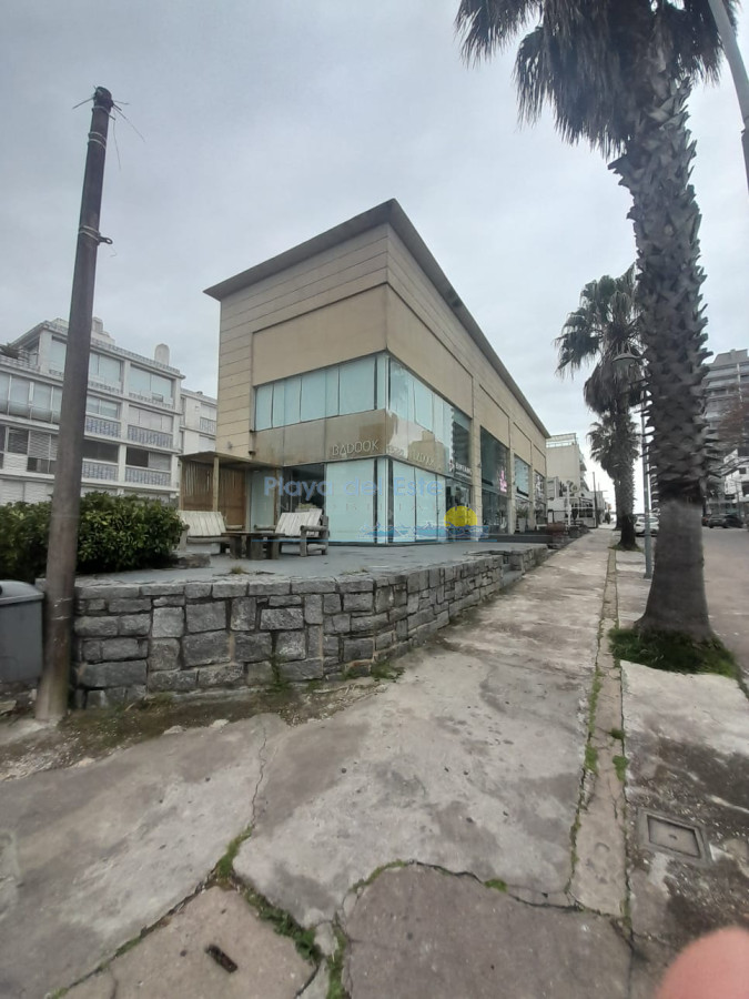 Punta del Este - GoPunta - Portal Inmobiliario de Punta del Este - Maldonado