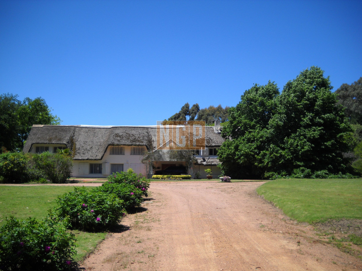 Chacra en venta en Punta Ballena - NGP31360H