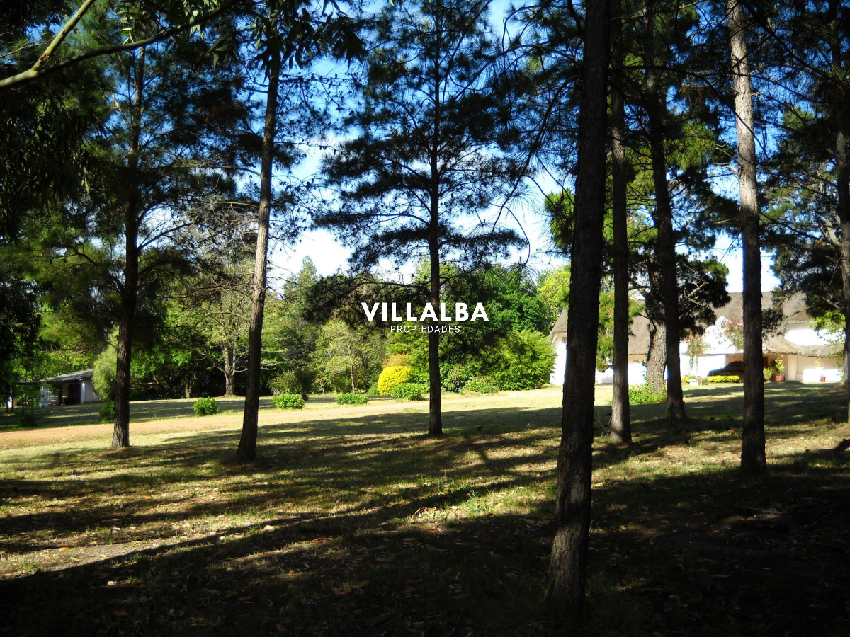 Chacra ID.4458 - Chacra en venta en Punta Ballena
