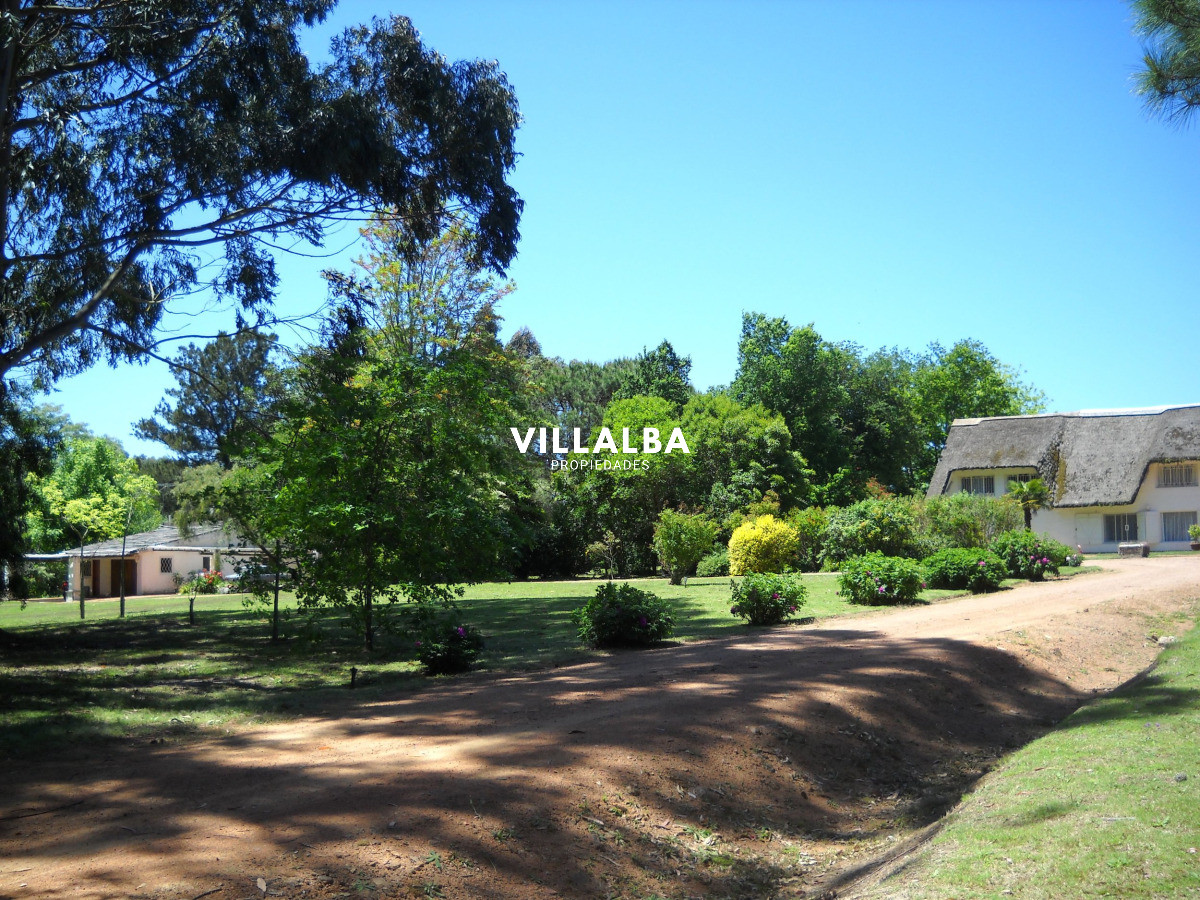 Chacra ID.4458 - Chacra en venta en Punta Ballena