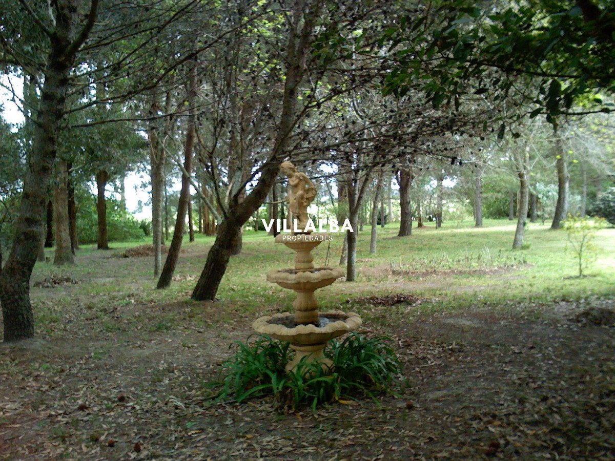 Chacra ID.4458 - Chacra en venta en Punta Ballena