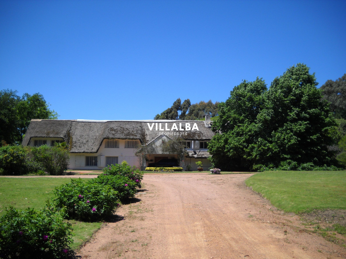 Chacra ID.4458 - Chacra en venta en Punta Ballena