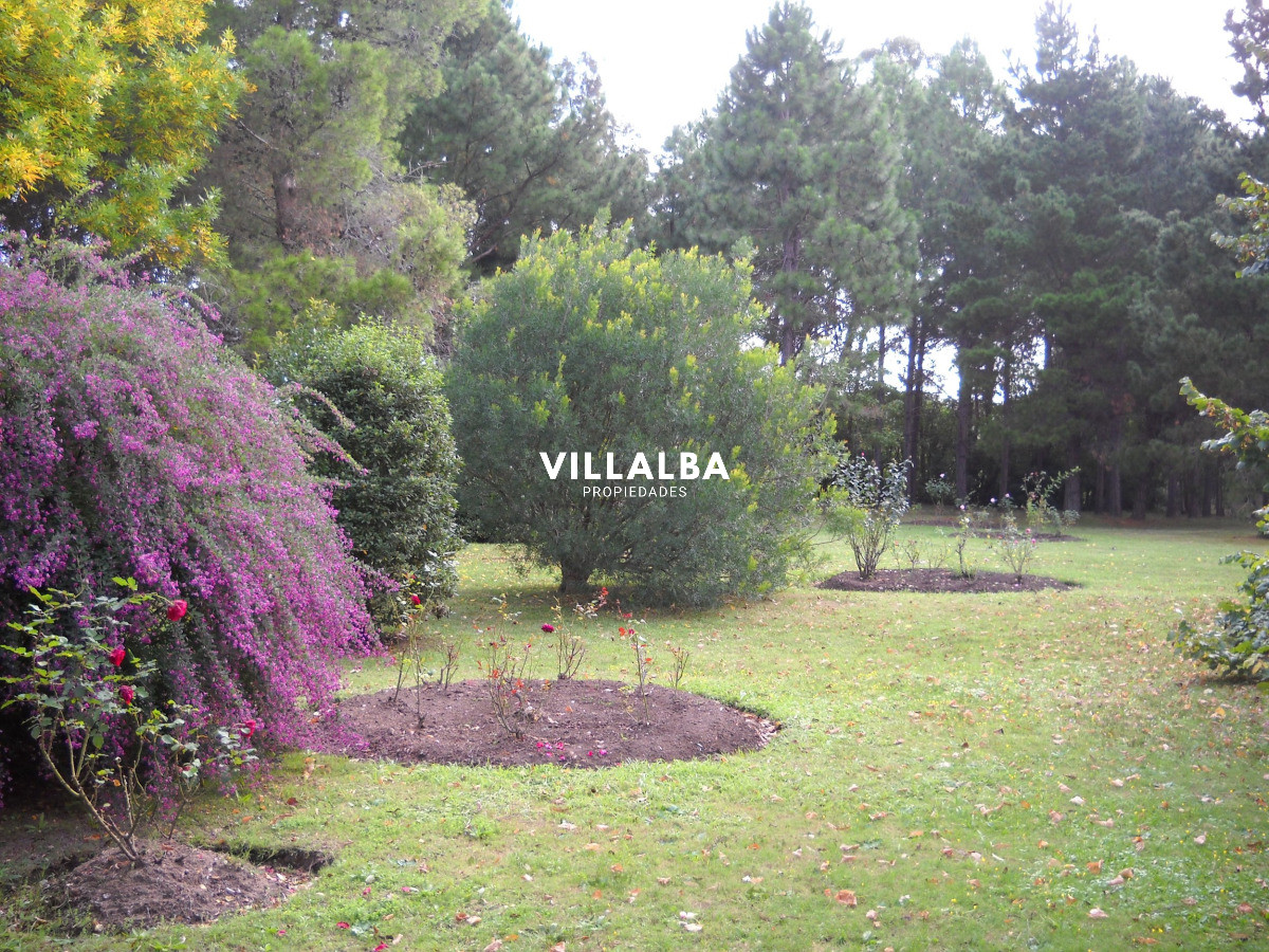 Chacra ID.4458 - Chacra en venta en Punta Ballena