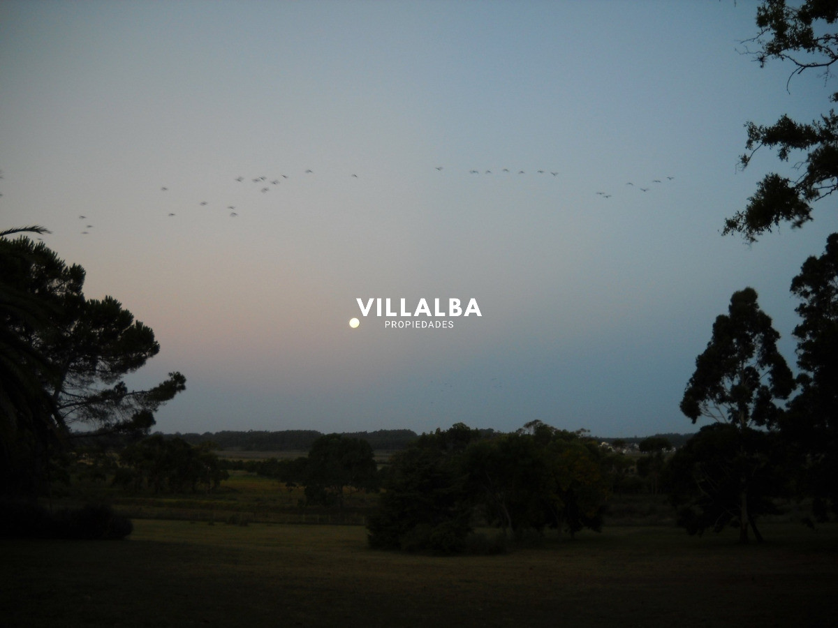 Chacra ID.4458 - Chacra en venta en Punta Ballena
