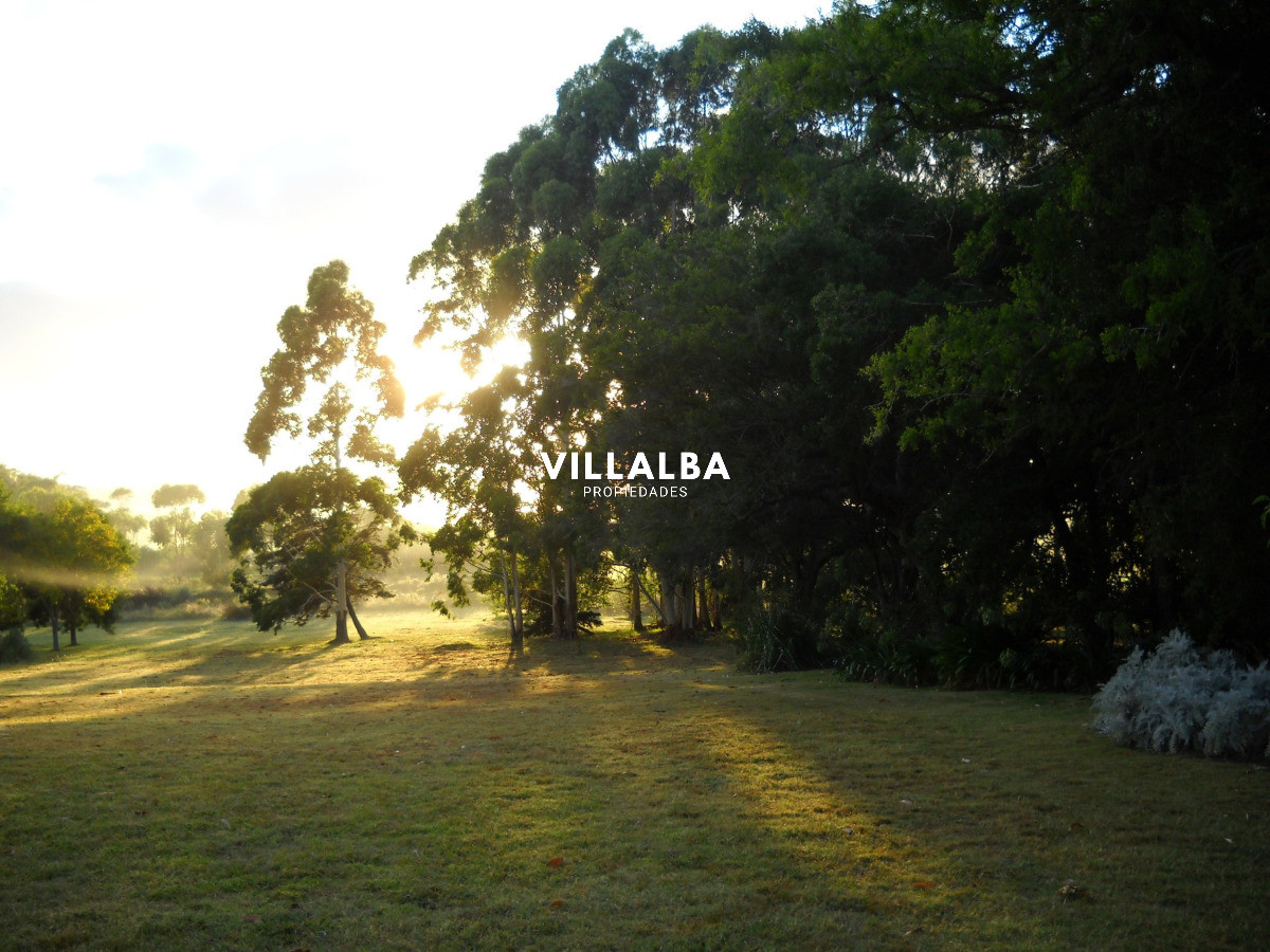 Chacra ID.4458 - Chacra en venta en Punta Ballena