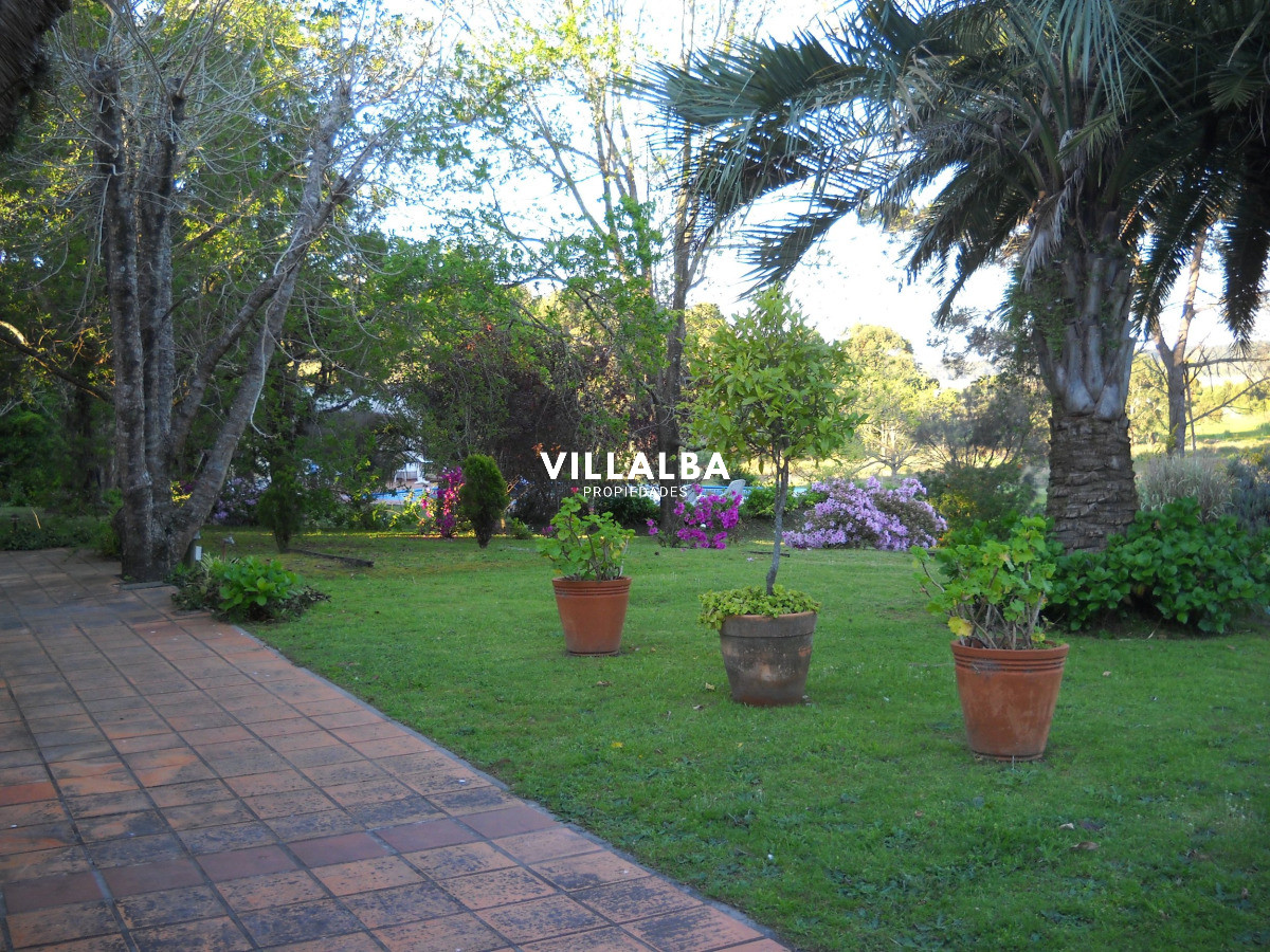 Chacra ID.4458 - Chacra en venta en Punta Ballena