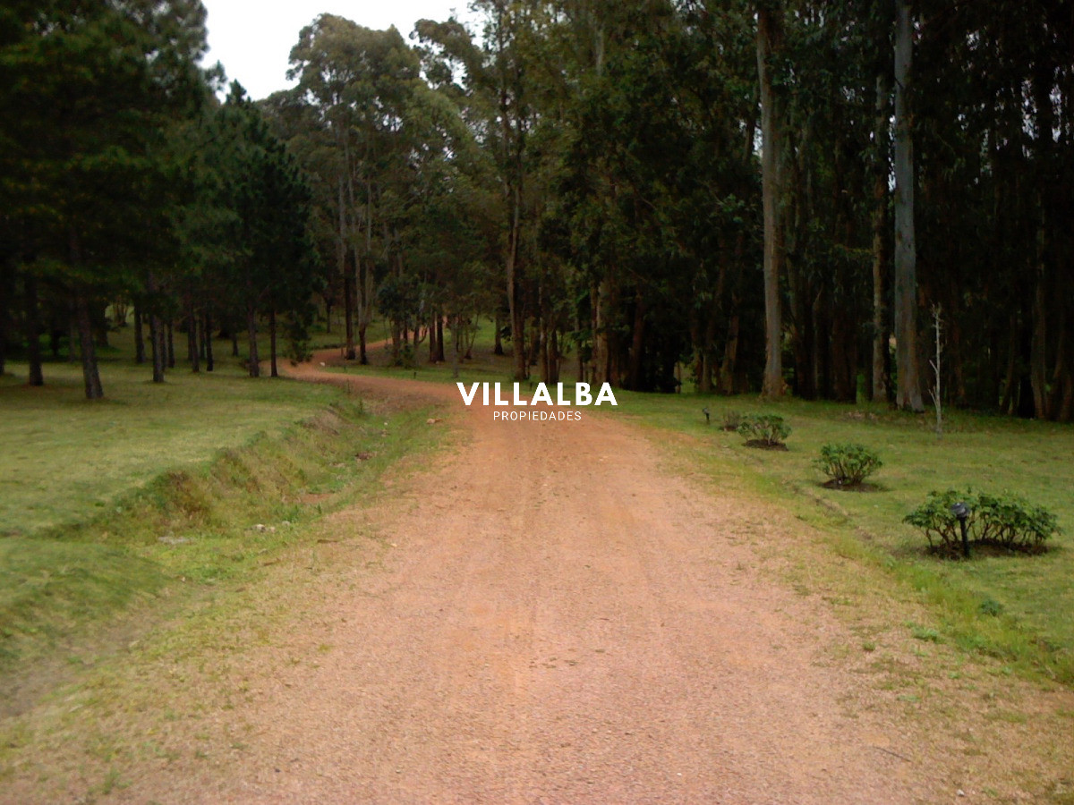 Chacra ID.4458 - Chacra en venta en Punta Ballena