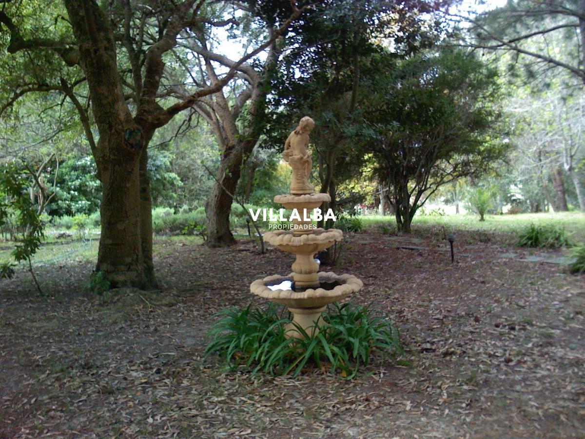 Chacra ID.4458 - Chacra en venta en Punta Ballena