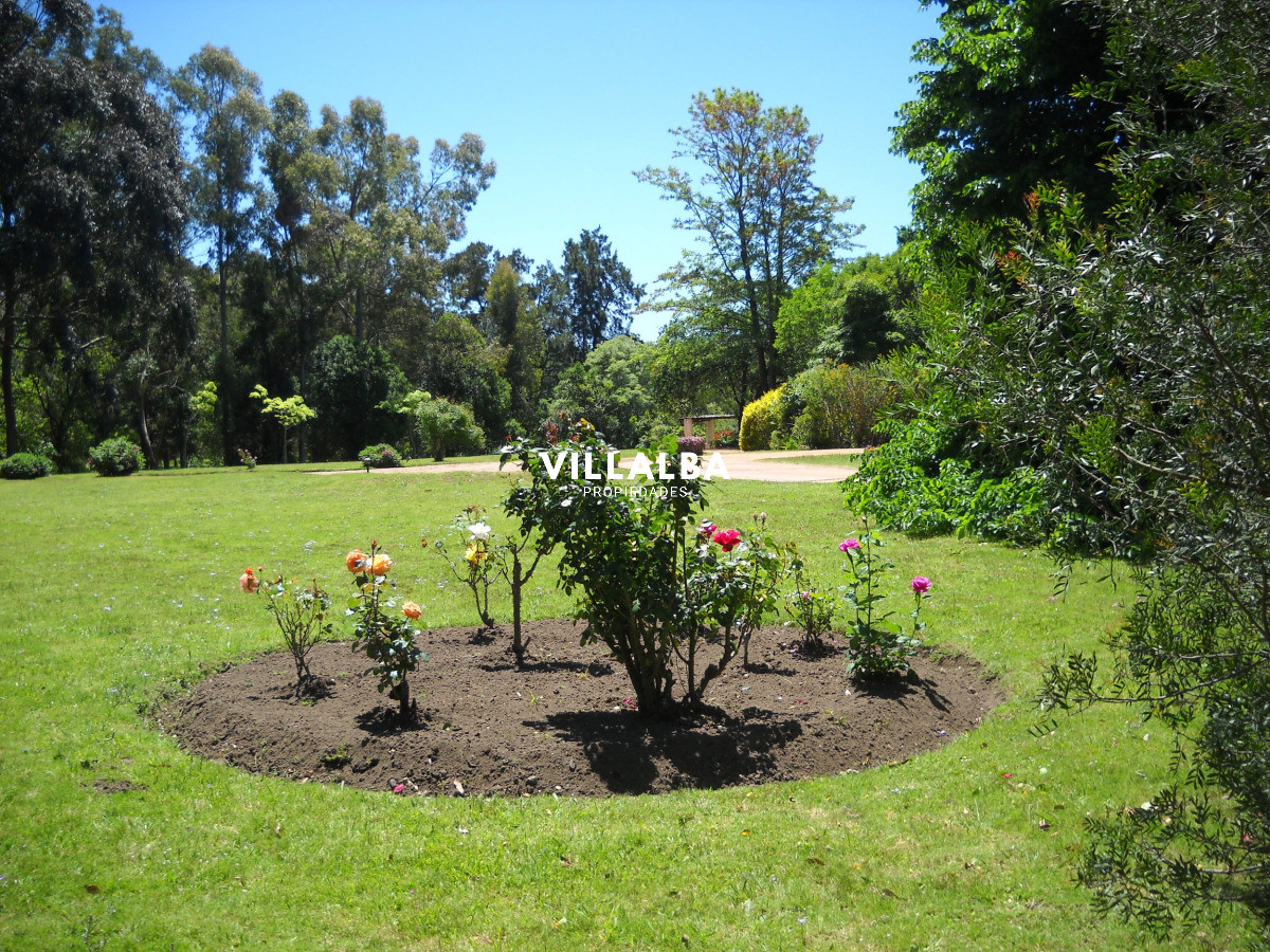 Chacra ID.4458 - Chacra en venta en Punta Ballena