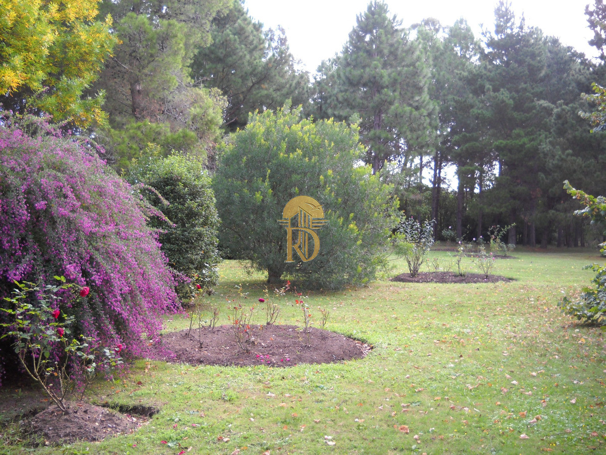 Chacra en venta en Punta Ballena -id-746-10