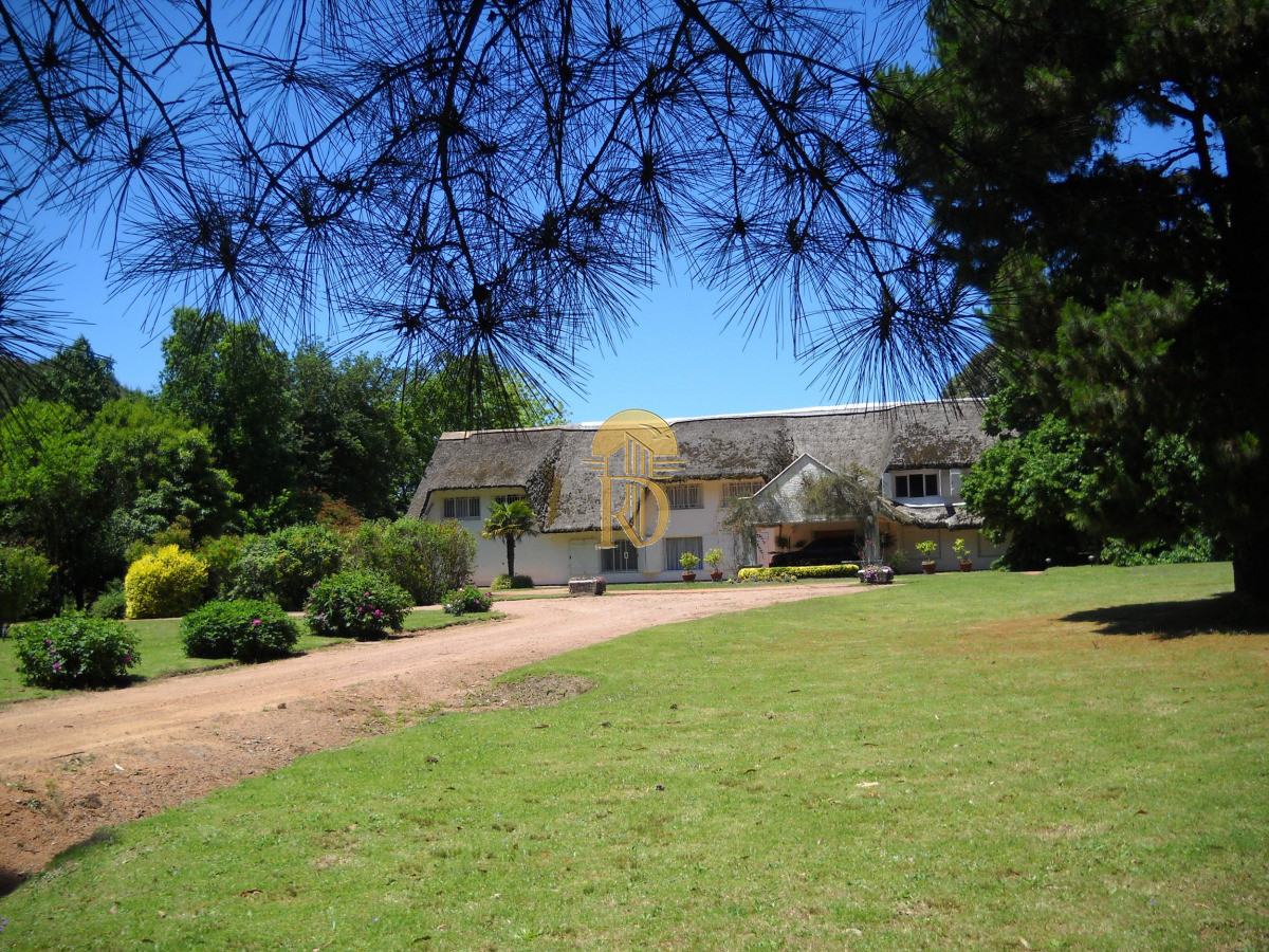 Chacra en venta en Punta Ballena -id-746-5