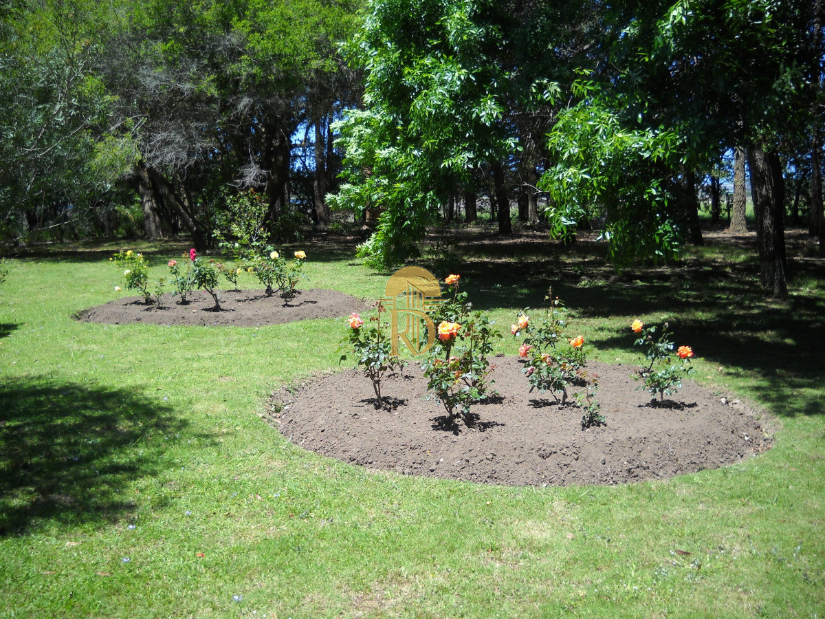 Chacra en venta en Punta Ballena -id-746-9