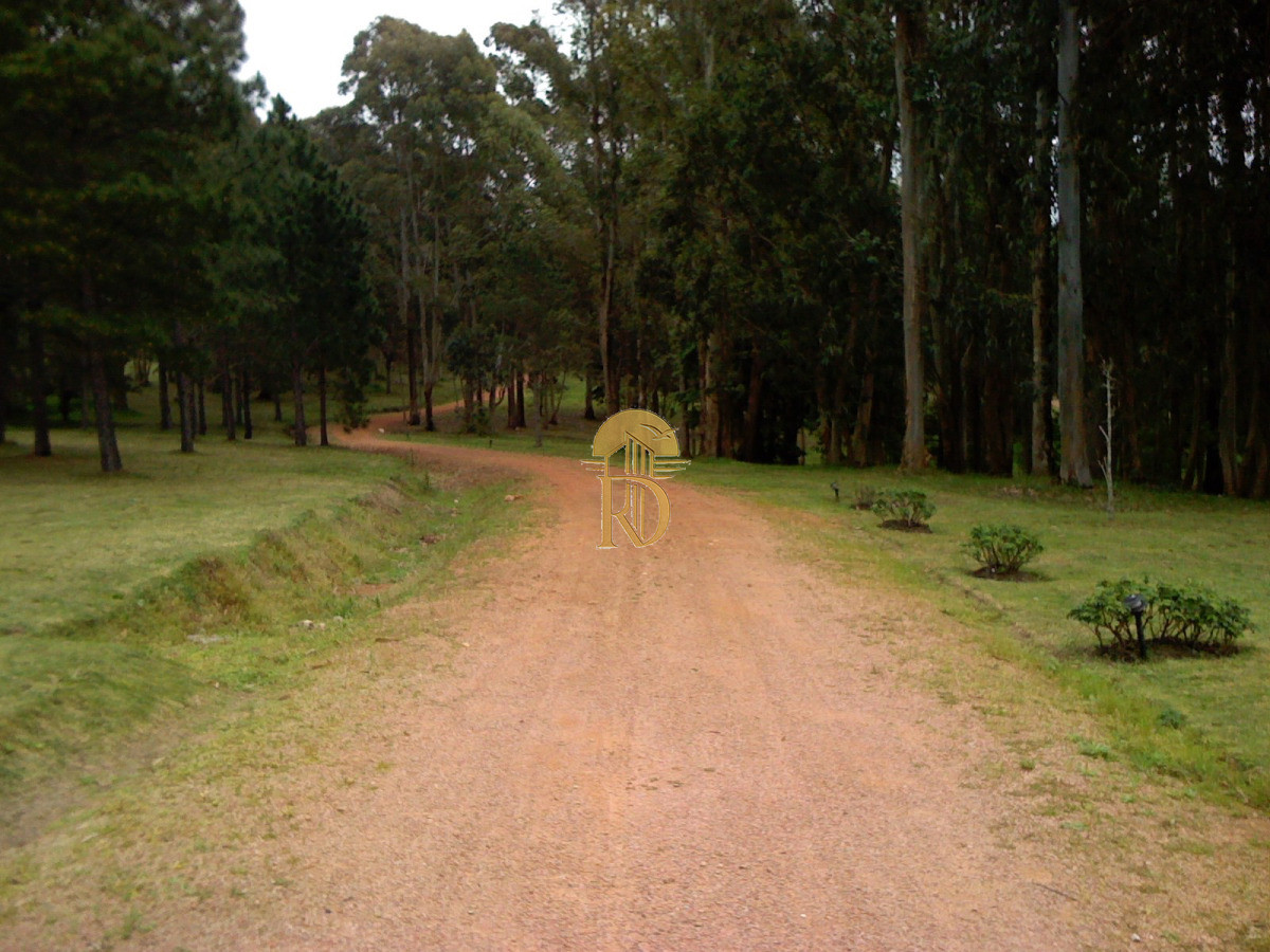 Chacra en venta en Punta Ballena -id-746-2