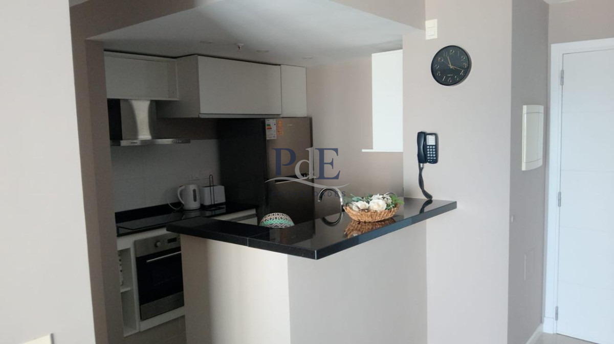 Disponible en alquiler del  de Enero 2 Dorm Pda 2 Punta del Este - Imagen 4