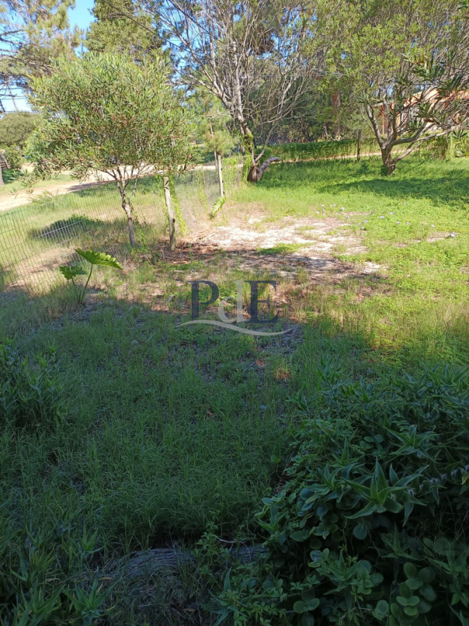 Atencion!! Cabaña en venta en La Paloma - Imagen 9