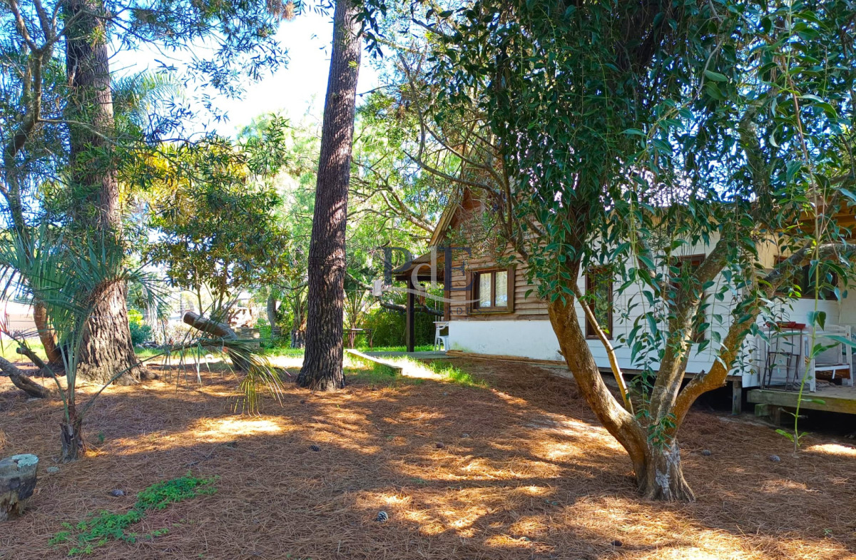 Atencion!! Cabaña en venta en La Paloma - Imagen 2