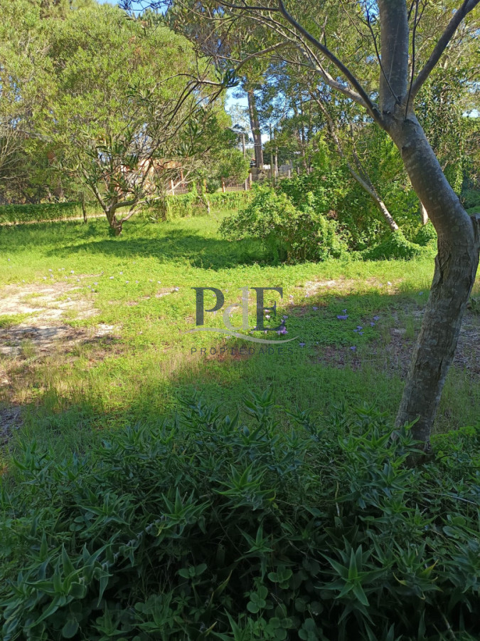 Atencion!! Cabaña en venta en La Paloma - Imagen 13