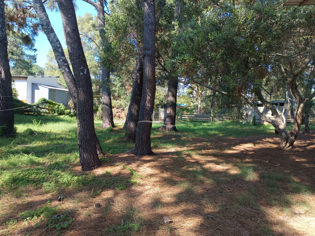 Atencion!! Cabaña en venta en La Paloma - Imagen 6