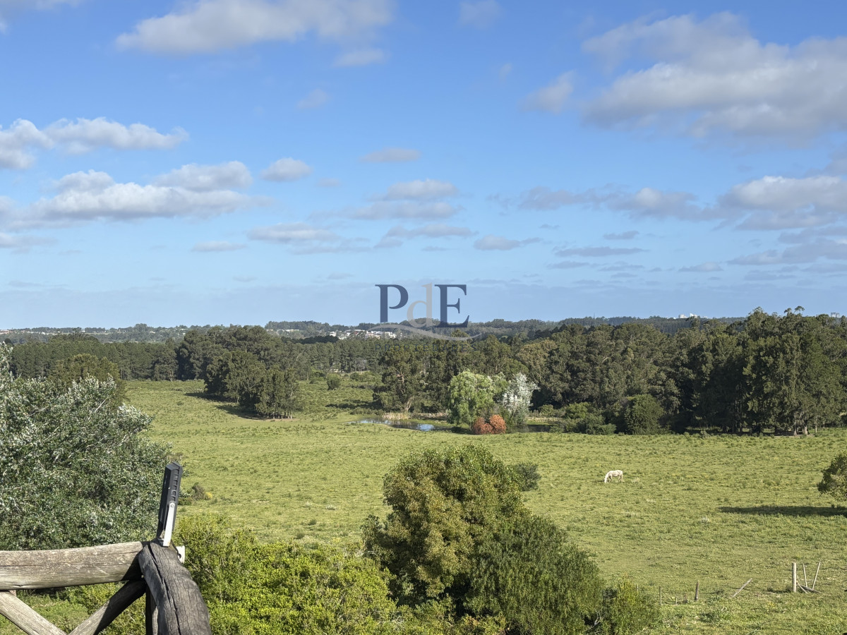 Chacra de 5 dormitorios en Punta Ballena.  - Imagen 1