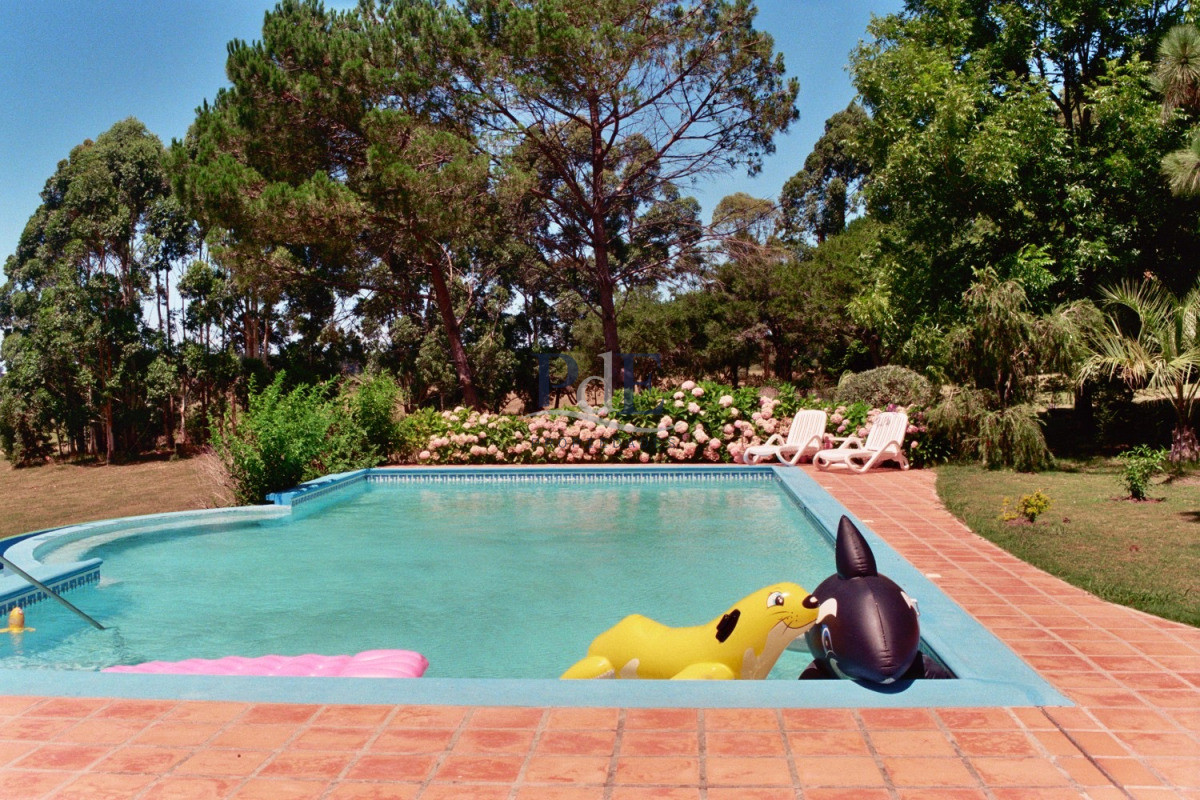 Chacra en venta en Punta Ballena - Imagen 64