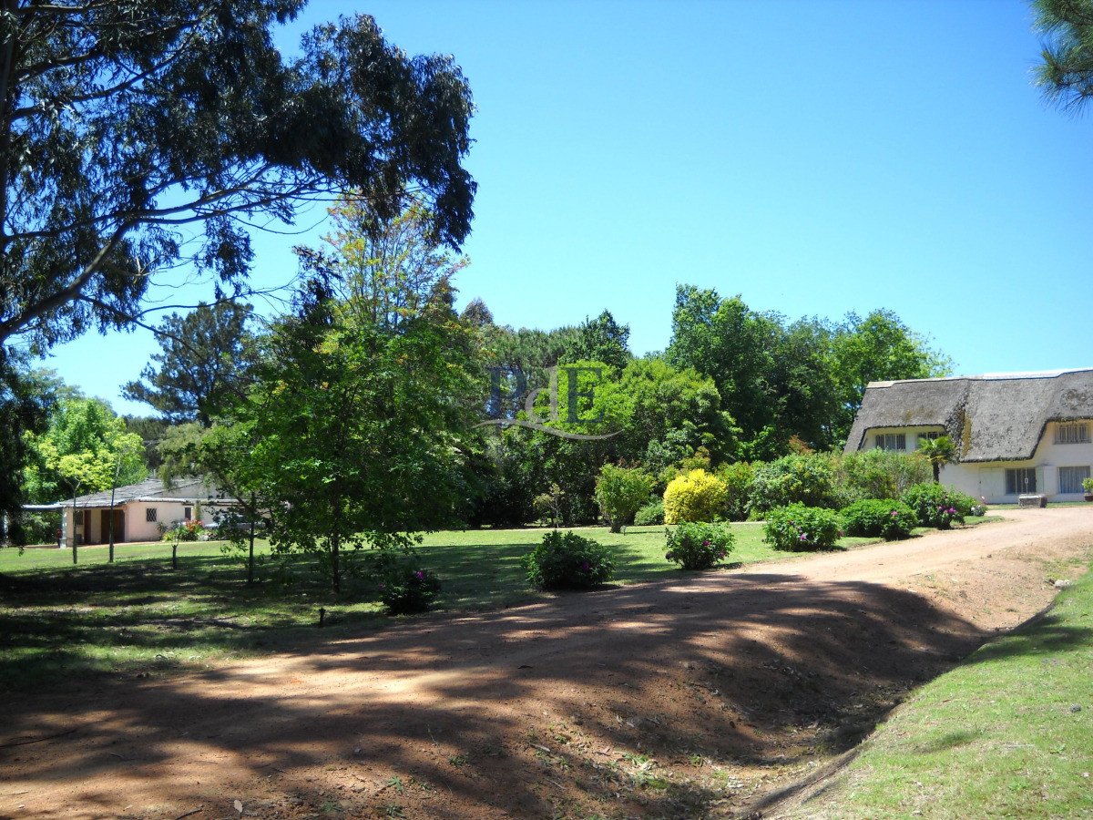 Chacra en venta en Punta Ballena - Imagen 4