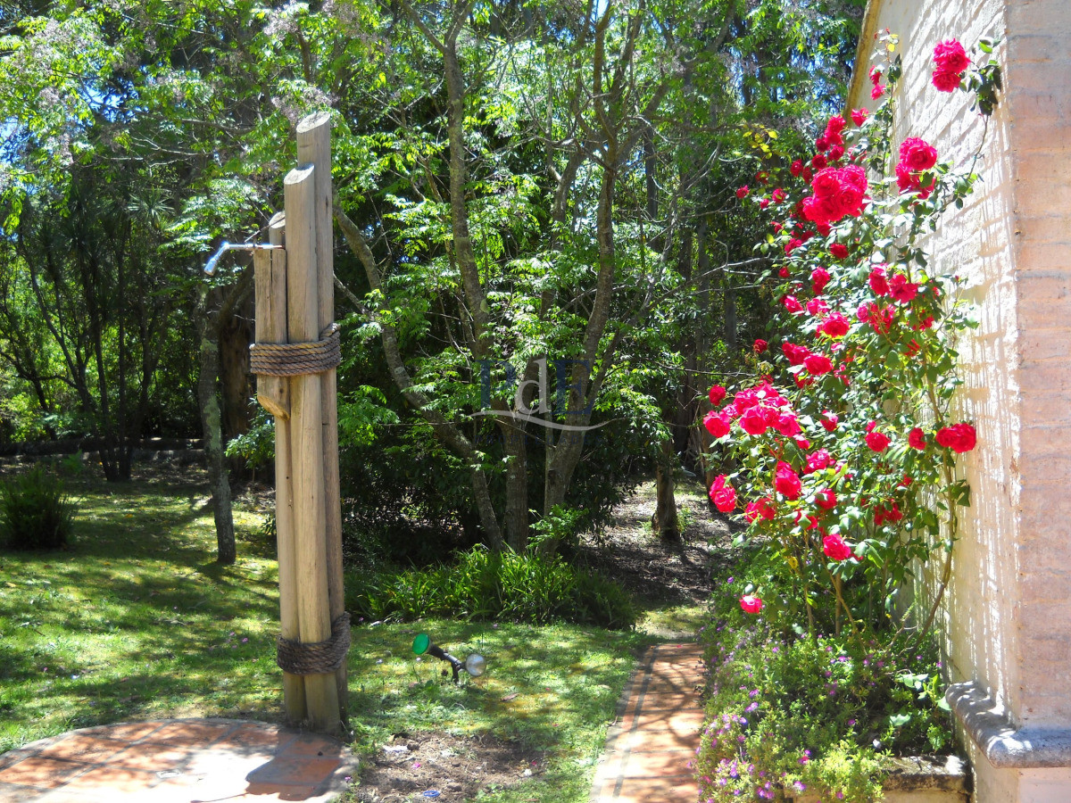 Chacra en venta en Punta Ballena - Imagen 63