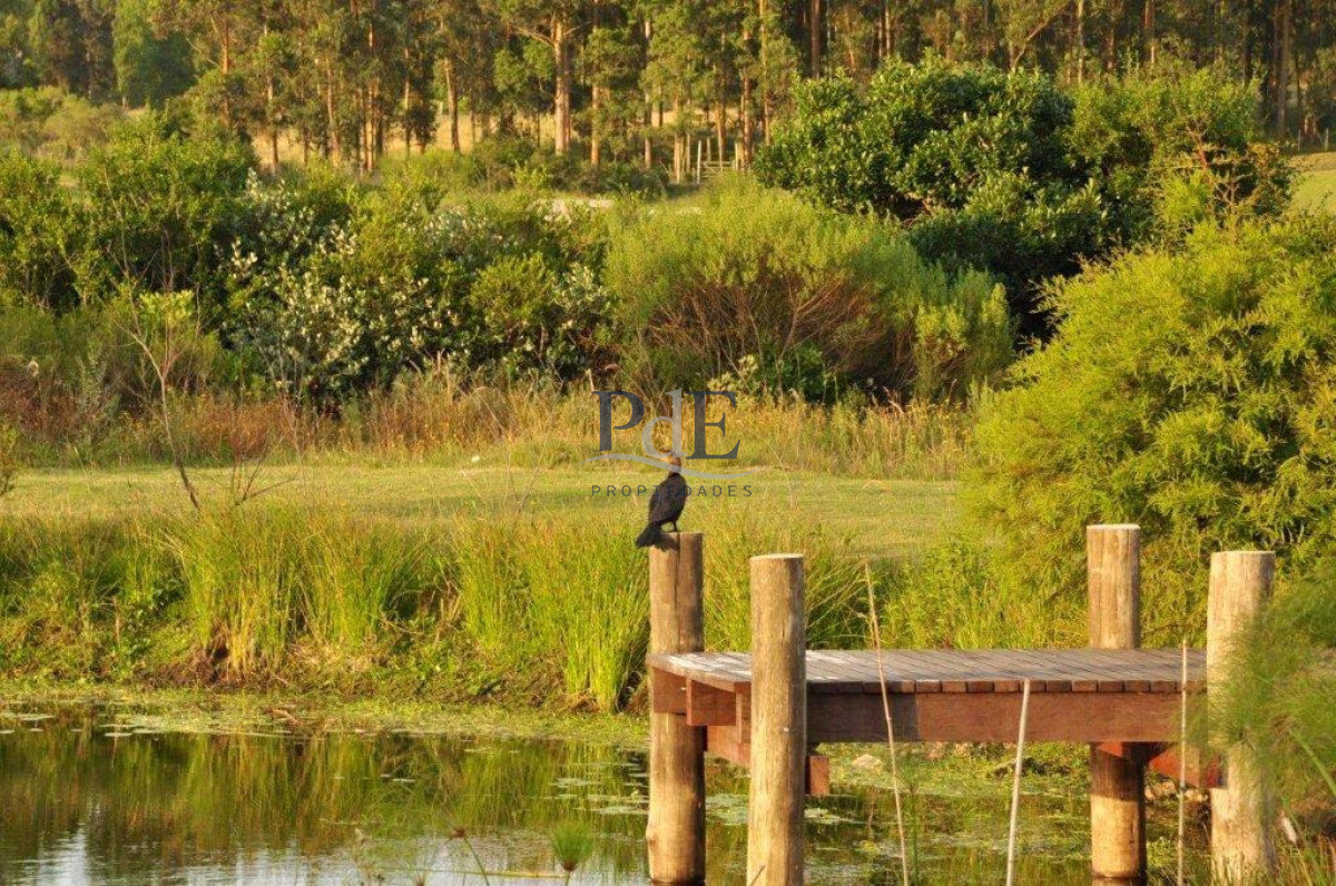 Chacra en venta en Punta Ballena - Imagen 12