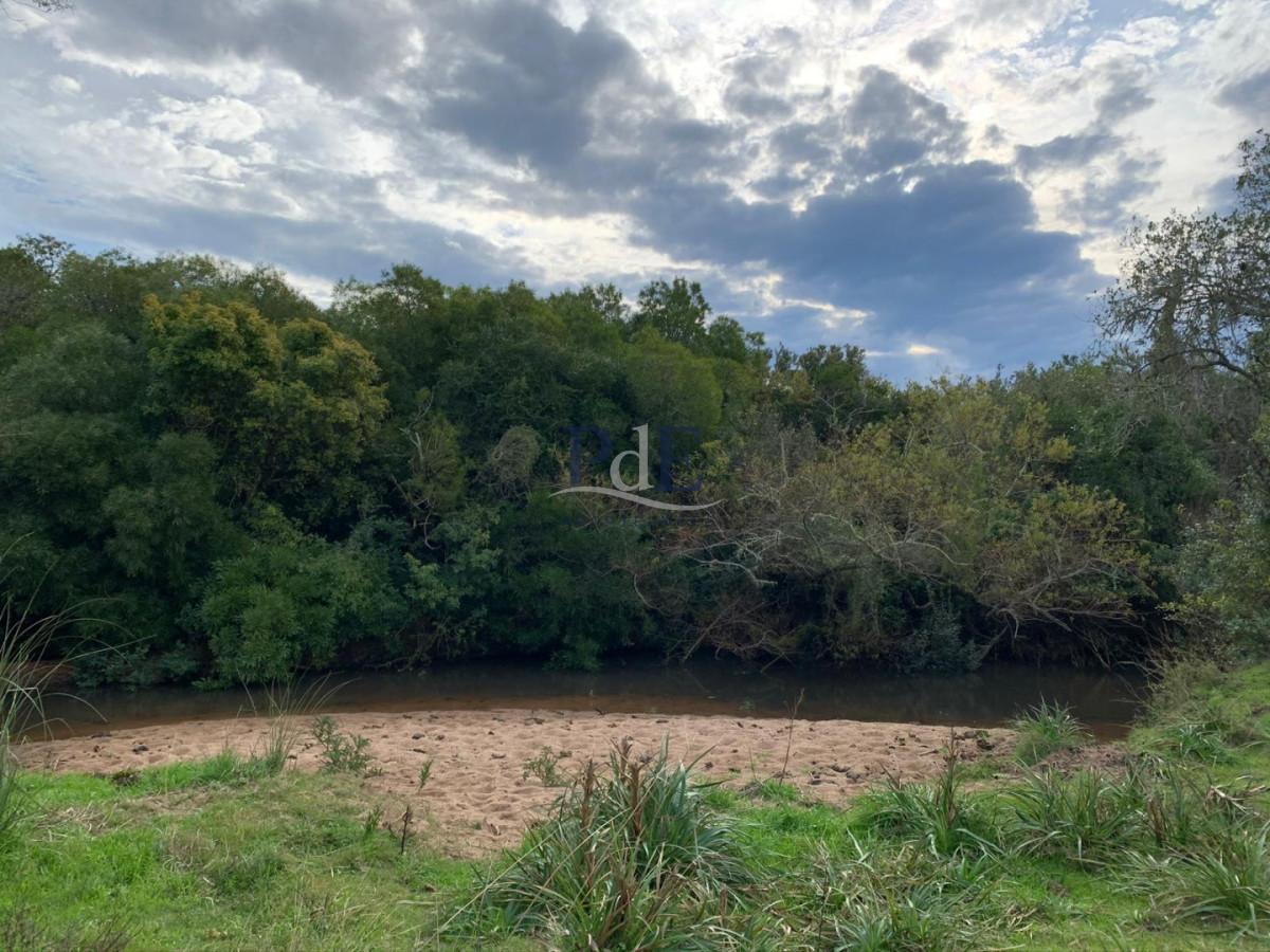 Excepcional Chacra de 7.5 Hectáreas con Costa de Arroyo - Próxima a San Carlos - Imagen 19