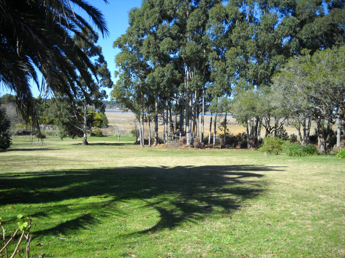 Chacra en venta en Punta Ballena - Imagen 53