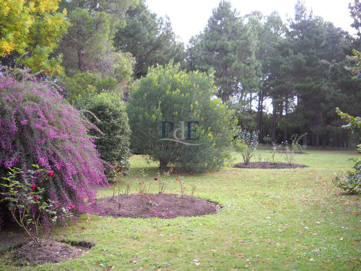 Chacra en venta en Punta Ballena - Imagen 11