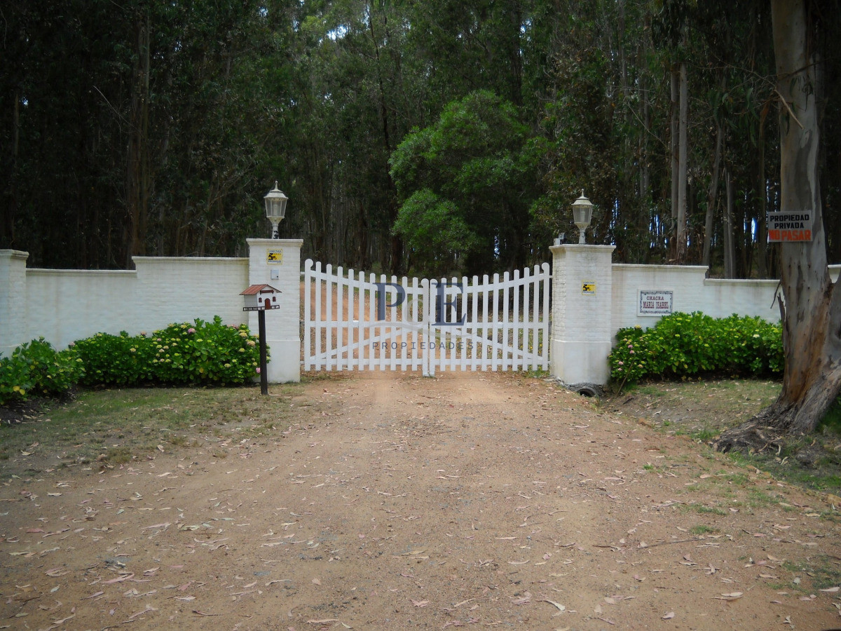 Chacra en venta en Punta Ballena - Imagen 1