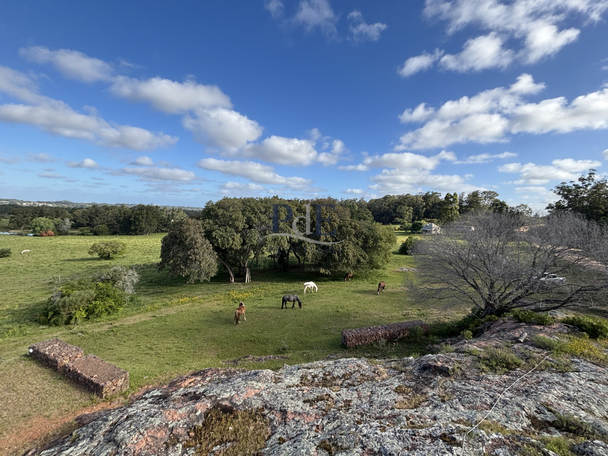 Chacra de 5 dormitorios en Punta Ballena.  - Imagen 25