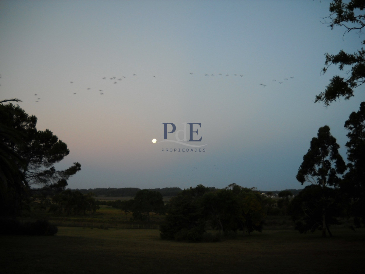 Chacra en venta en Punta Ballena - Imagen 71