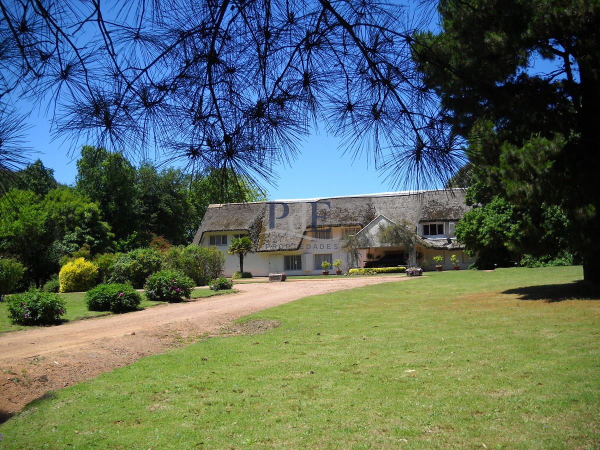 Chacra en venta en Punta Ballena - Imagen 6