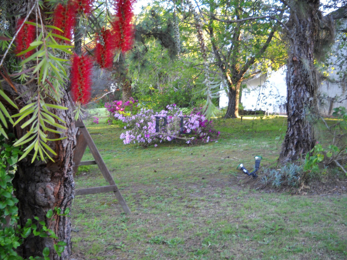 Chacra en venta en Punta Ballena - Imagen 57