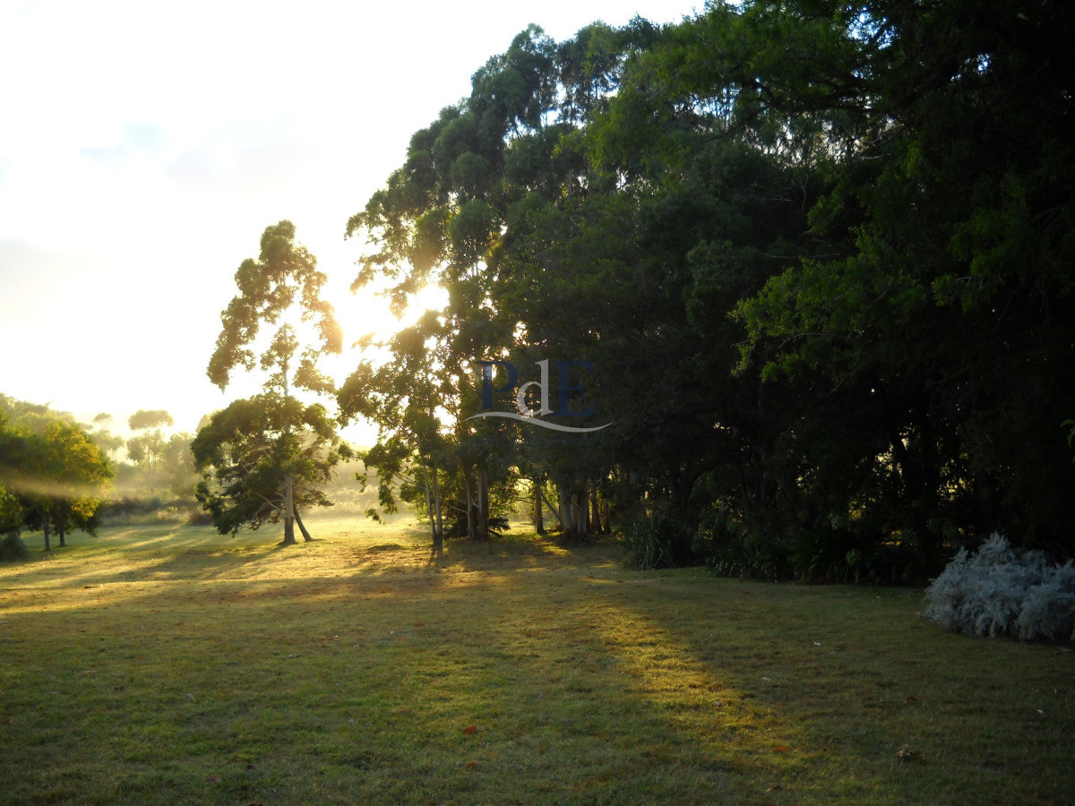 Chacra en venta en Punta Ballena - Imagen 69