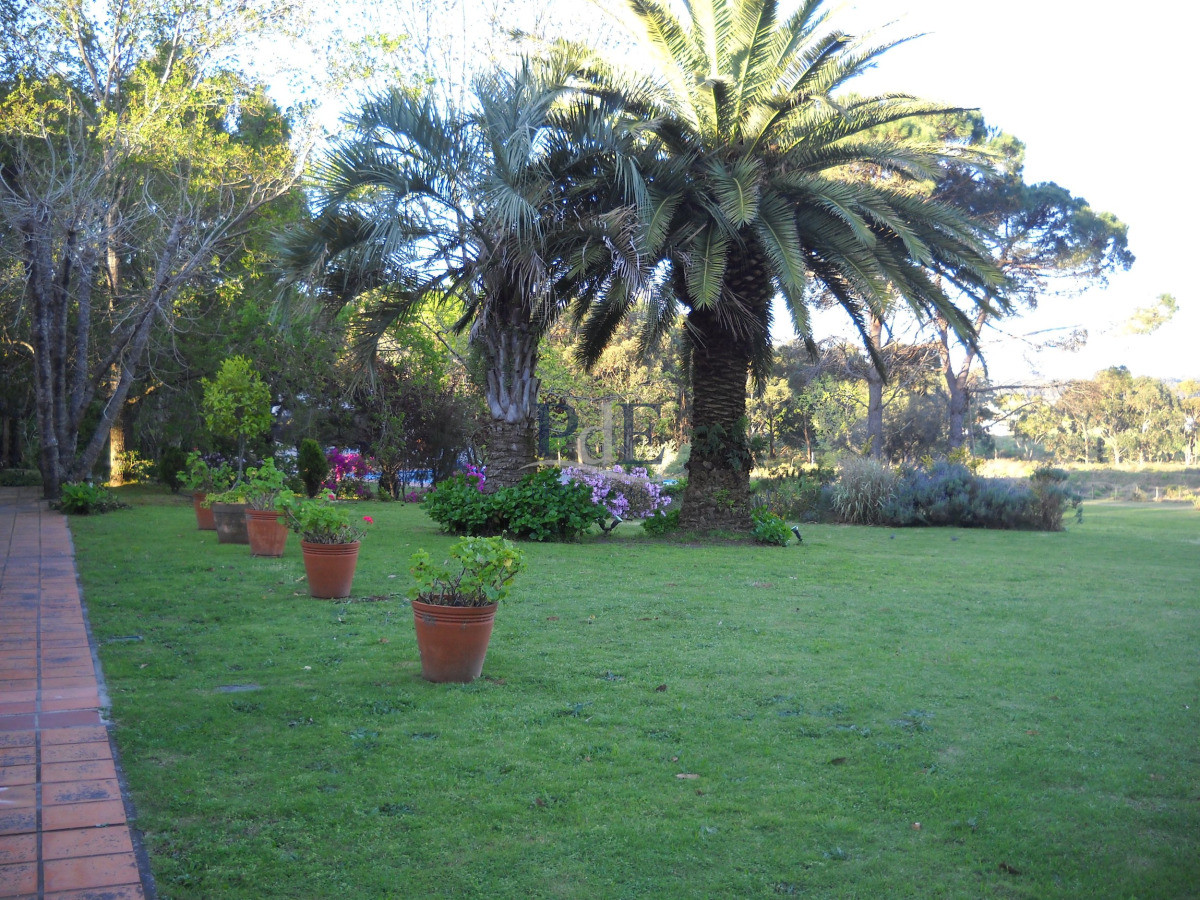 Chacra en venta en Punta Ballena - Imagen 47