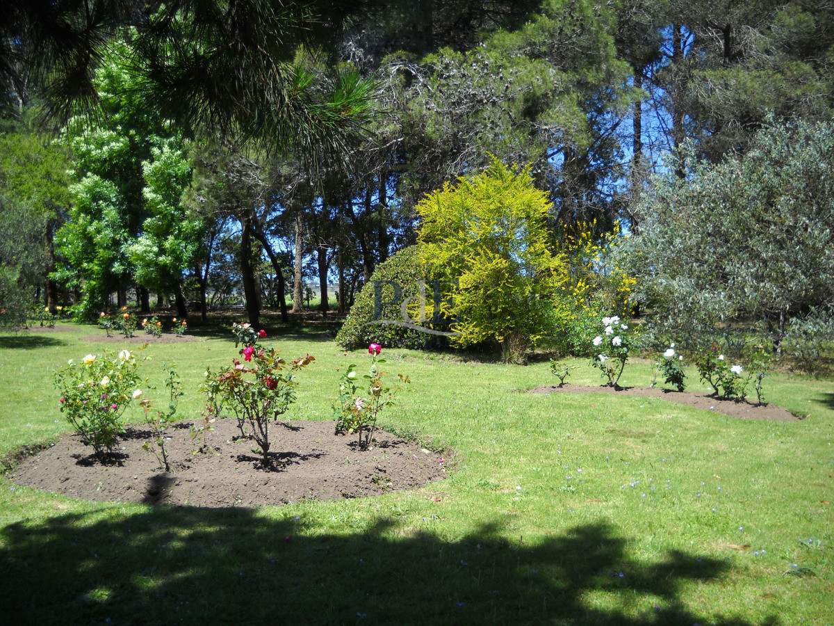 Chacra en venta en Punta Ballena - Imagen 8