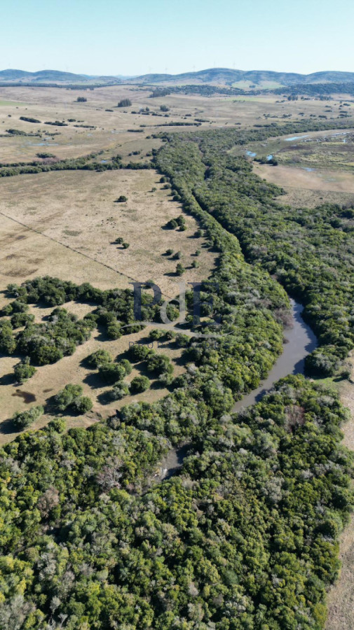 Excepcional Chacra de 7.5 Hectáreas con Costa de Arroyo - Próxima a San Carlos - Imagen 2